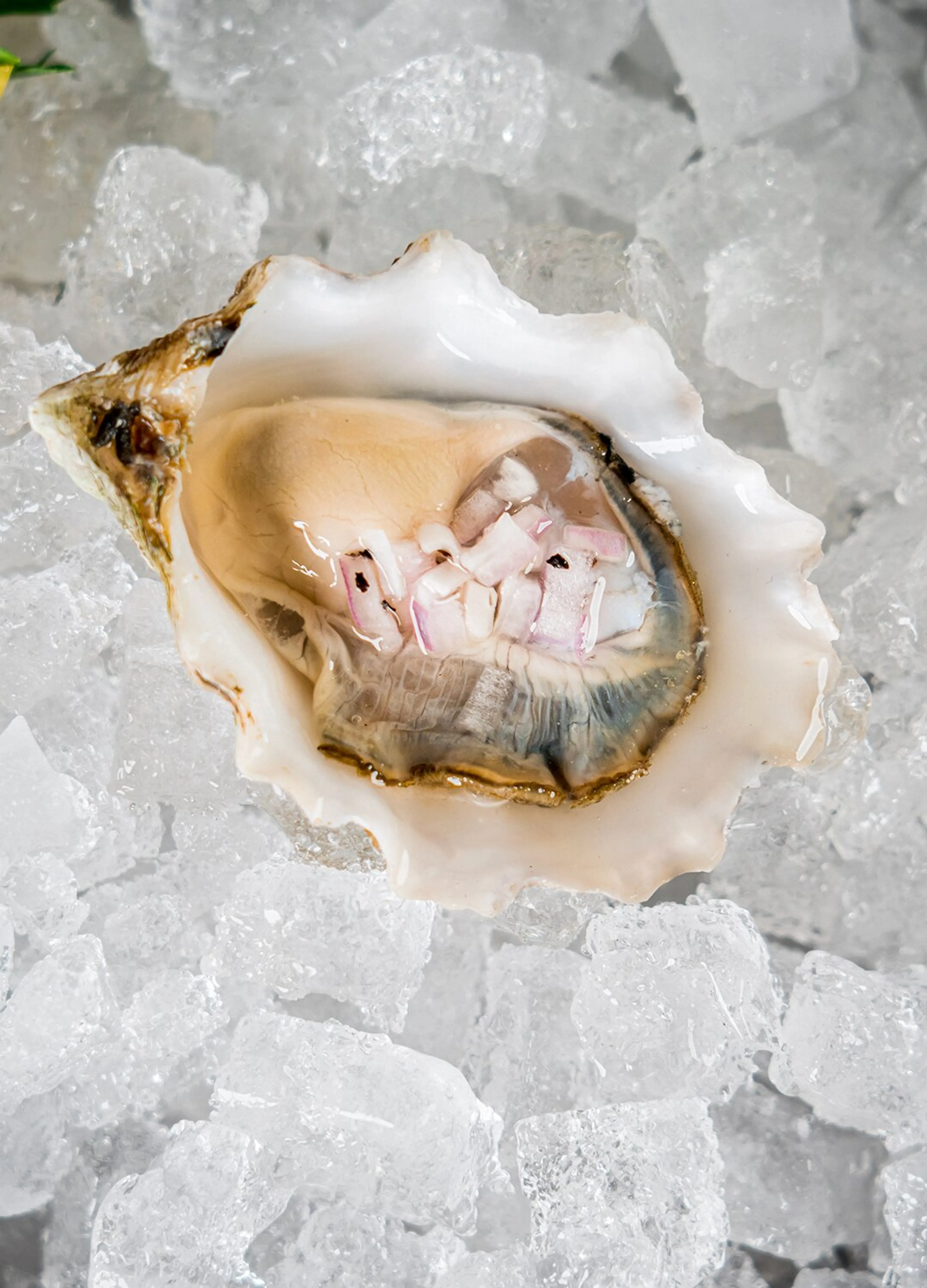 Oysters with Mignonette Sauce