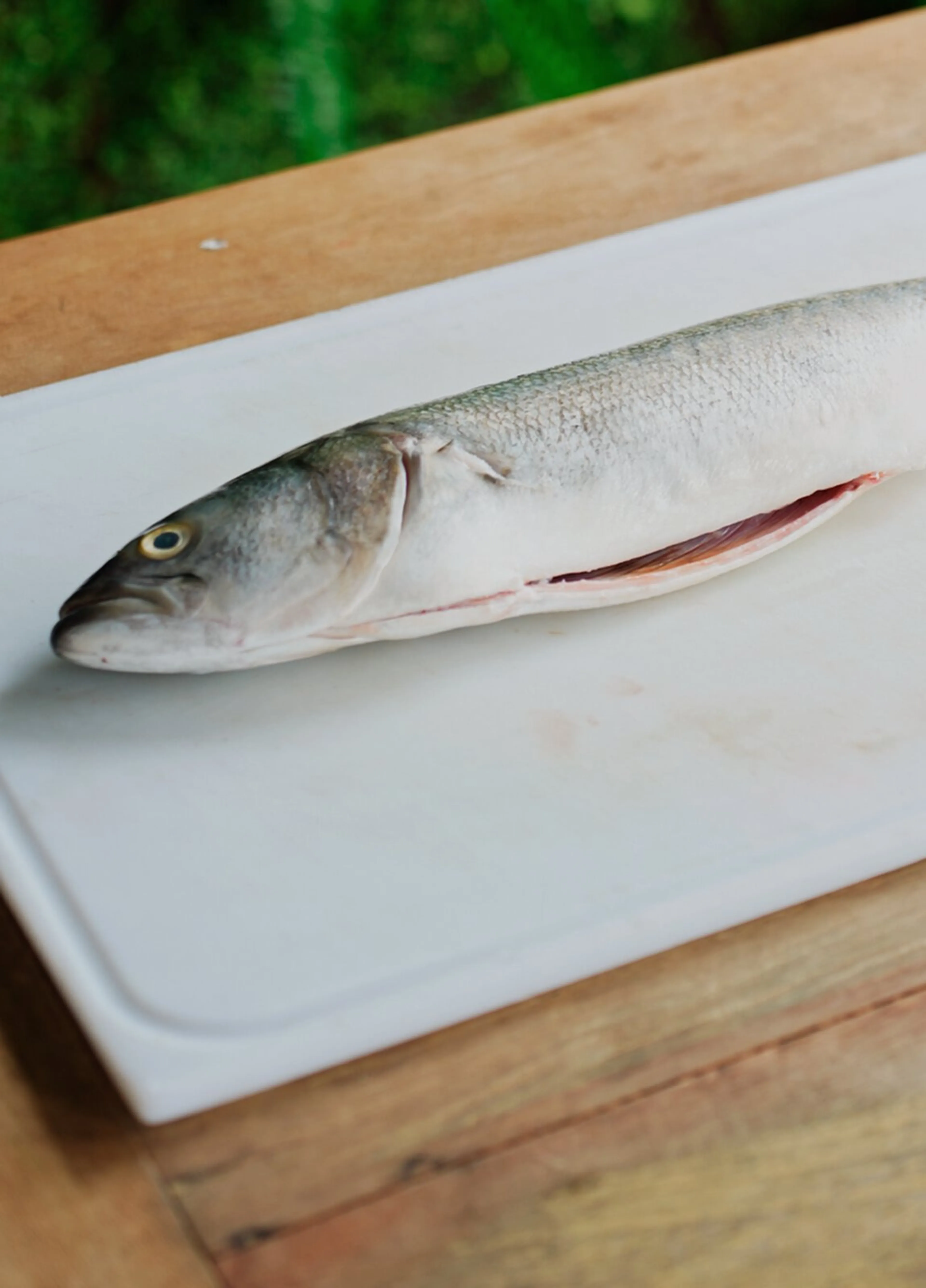 Fish Cleaning 