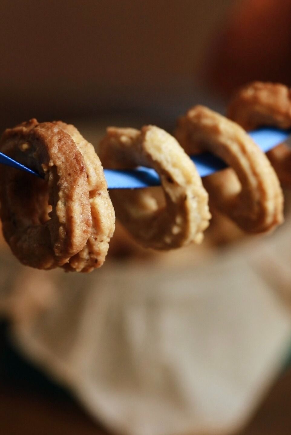 Vanilla Wreath Cookies