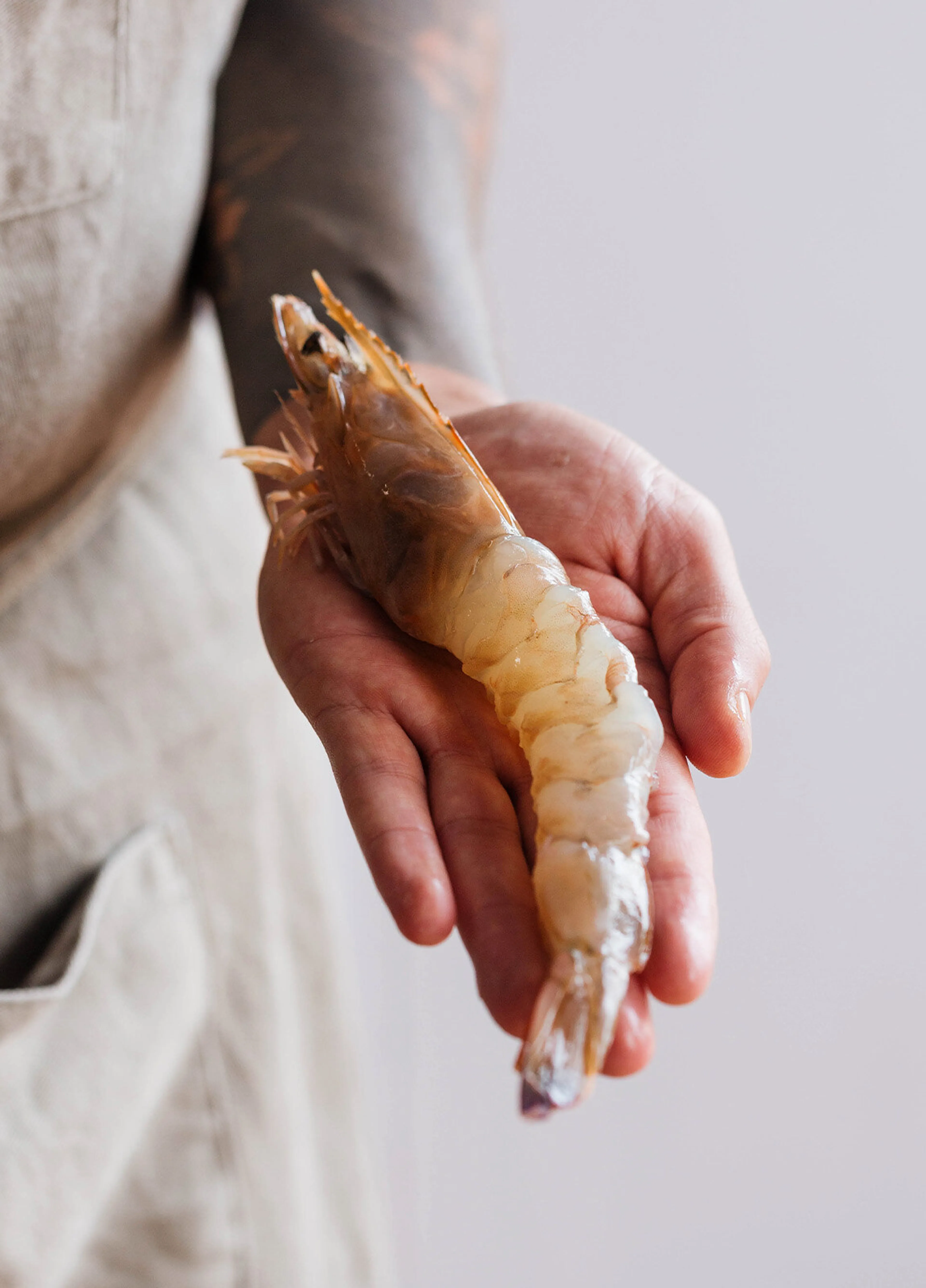 Shrimp Cleaning